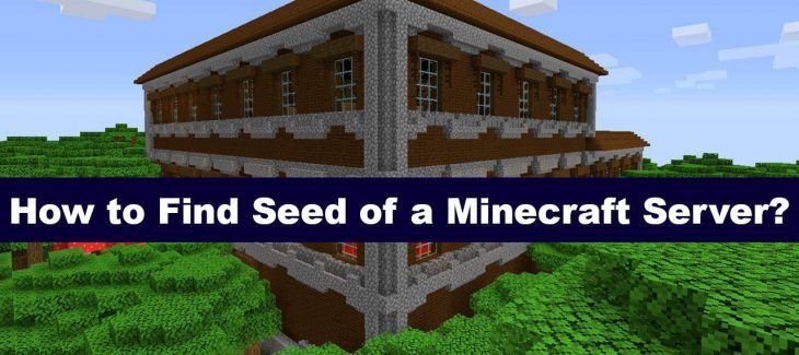 How to Find Seed of a Minecraft Server