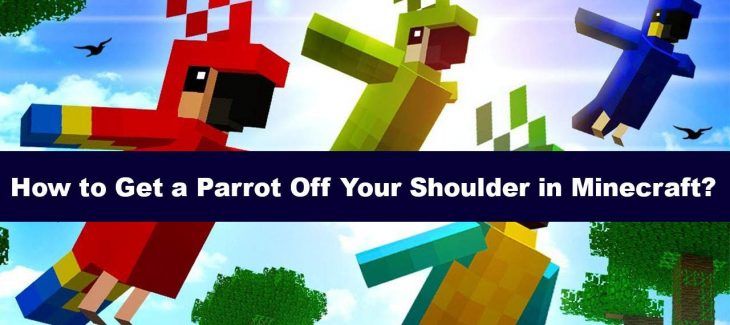 How to Get a Parrot Off Your Shoulder in Minecraft
