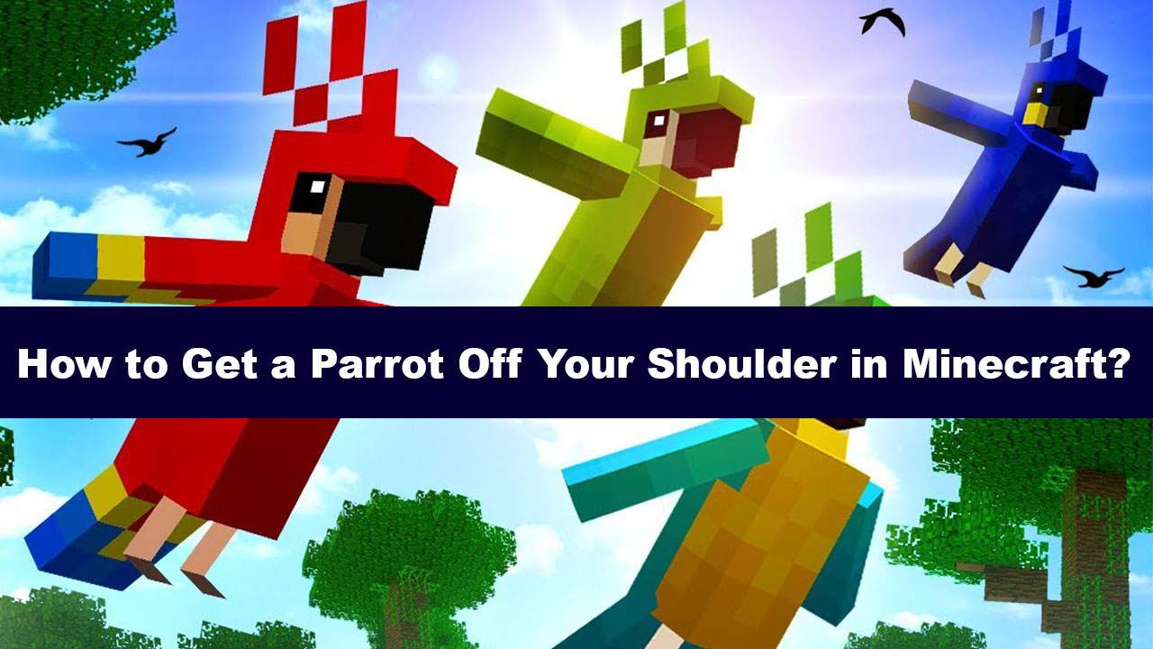How To Get A Parrot Off Your Shoulder In Minecraft 7 Methods Hhowto