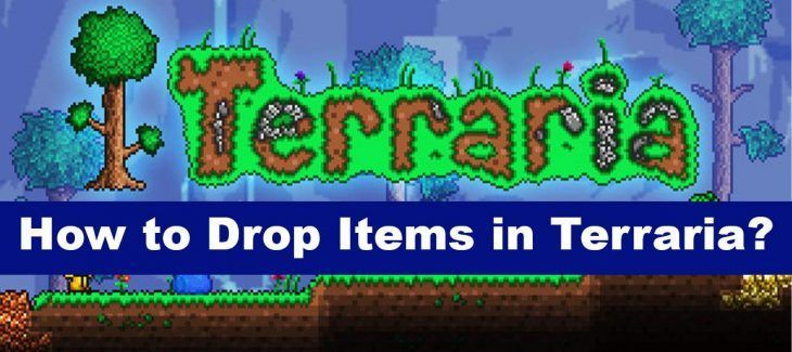 How to Drop Items in Terraria