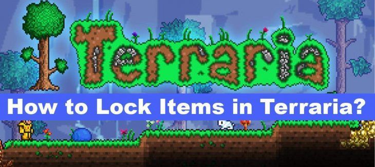How to Lock Items in Terraria