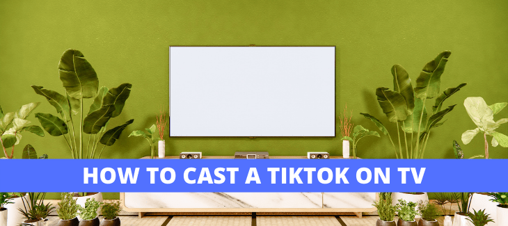 HOW  TO CAST A TIKTOK ON TV