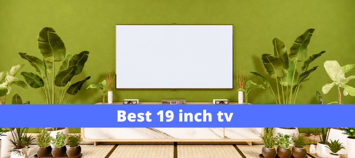 Best 19 inch tv